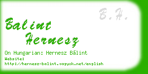 balint hernesz business card